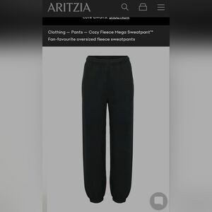 Aritzia SweatFleece Cozy Fleece Sweatpants